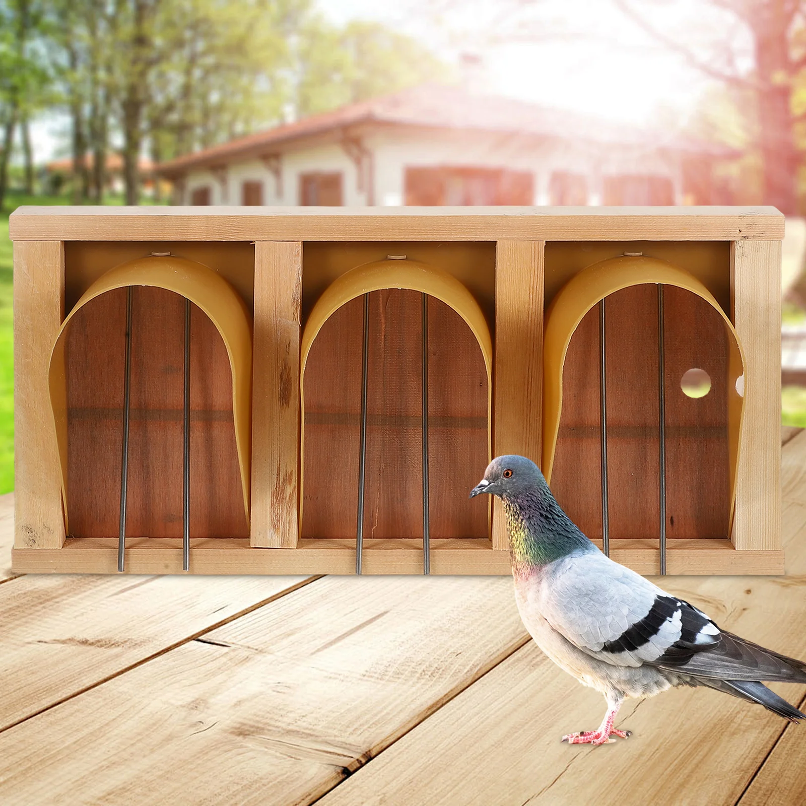 

Pigeon Cage Door European Style Bird Racing Dove Entrance Wood Pigeon Doors Accessories Supplies Long Lasting Practical Training