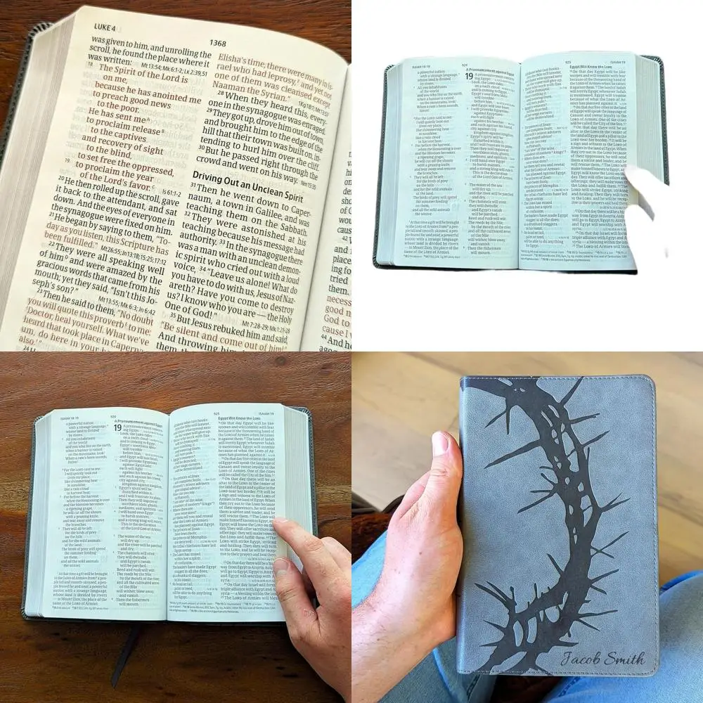 Large Print Csb Bib…