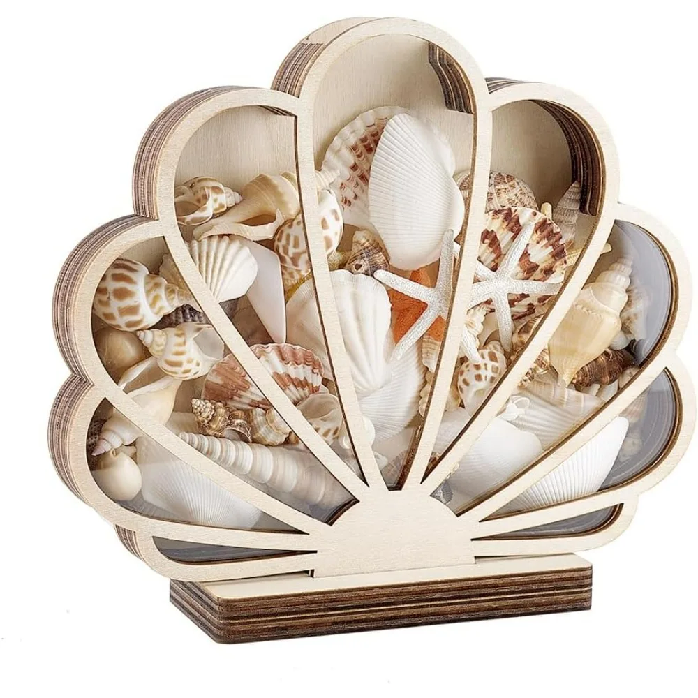 

Shell Display Case7.8x7 inch Wooden Seashell Shadow Box with Clear Window Wood Shell Holder Seashell Shaped Display