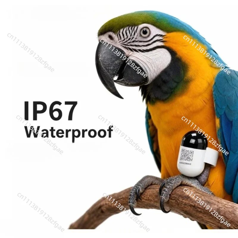 Waterproof mini real-time pigeon gps locator with 4g network, ideal for outdoor racing pigeons