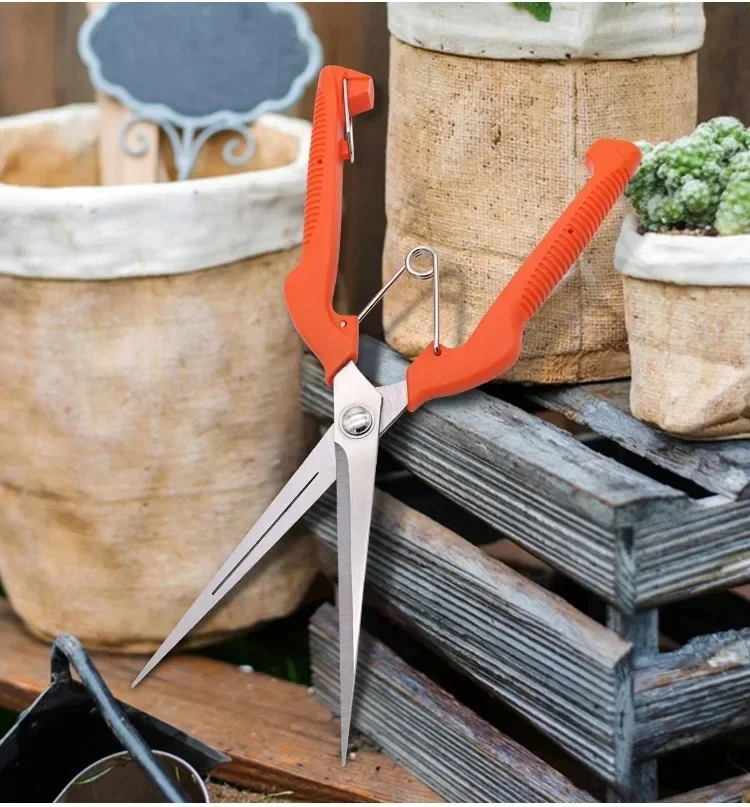 مقصات تشذيب الحدائق المهنية الفولاذ المقاوم للصدأ زهرة بونساي مقص المحمولة الجديدة البستنة أدوات يدوية مقصات قطف الفاكهة #1