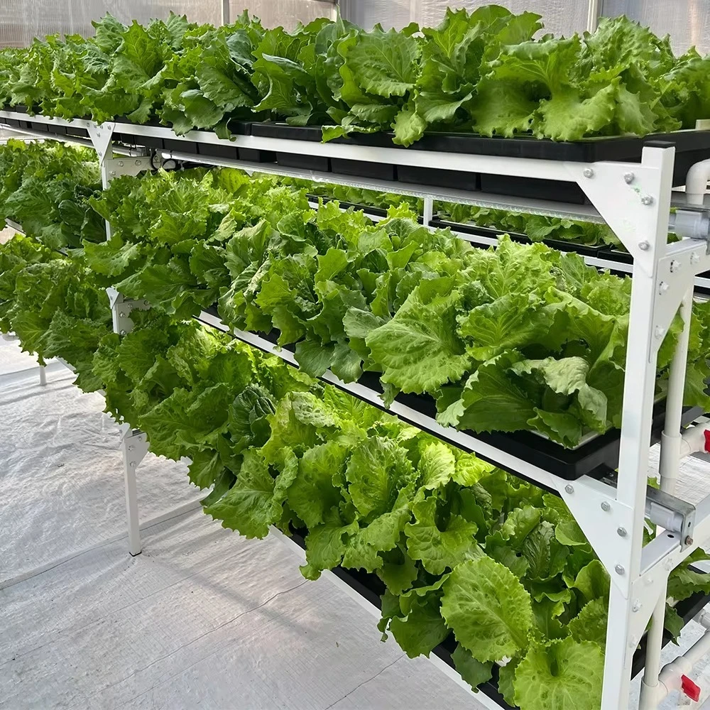 

Intelligent Planting Cabinet Standing Vertical Garden Farm Combined Herbs Vegetable Hydroponic Growing System Kit