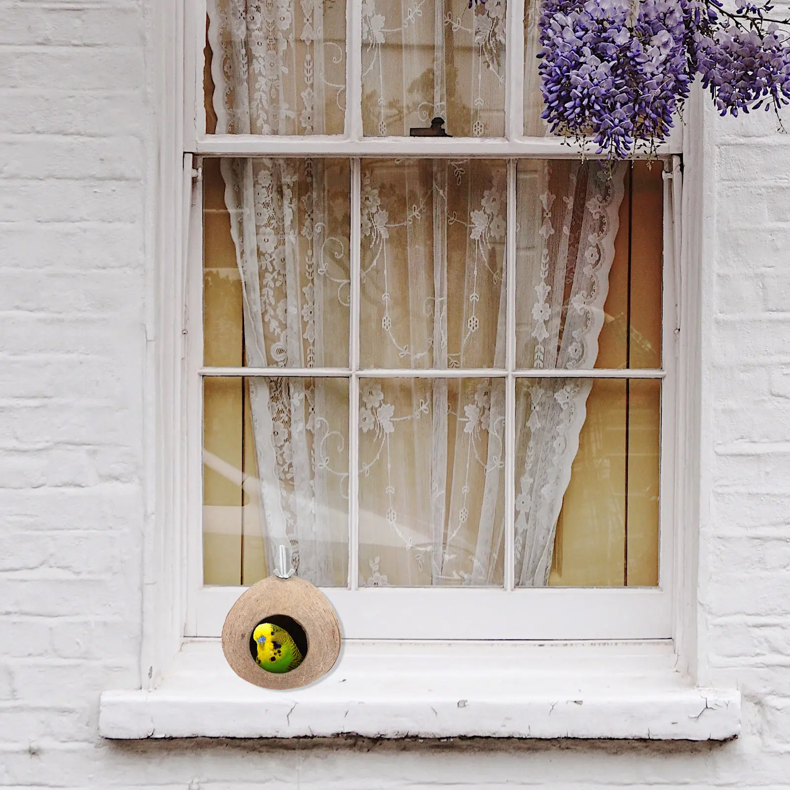 

1Pcs Creative Bird Nest Made from Coconut Shell Hanging Bird Shelter for Parrot Canary Lark Handcrafted Garden Ornament Safe