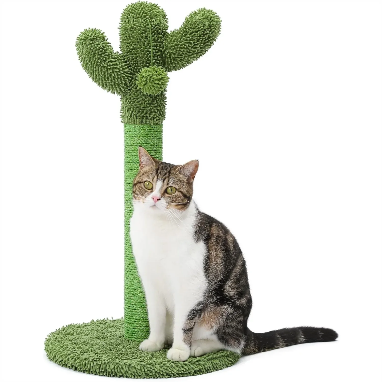 

Когтеточка для кошек Cactus с сизалевым канатом и подвесным мячиком, 25,6-дюймовая вертикальная зеленая кошачья лежанка для домашних кошек