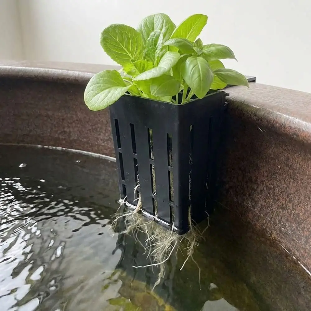 Wall-Mounted Aquarium Plant Basket Plastic Water Culture Planter Hydroponic Hanging Planter Planter Containers Self Watering
