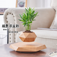 Magnetic Levitation Ornaments Living Room Office Desktop High-end Potted Plant Creative Black Technology Home Products