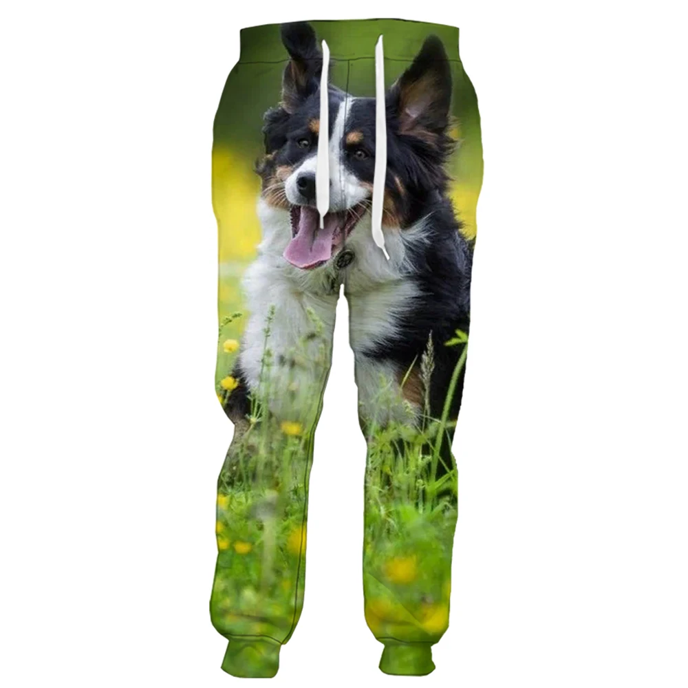 HX Fashion Mens Pants Funny Running Border Collie 3D Printed Trousers Casual Sweatpants Joggers Men Clothing Ropa De Hombre