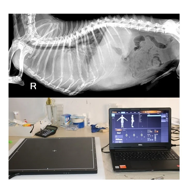 Digital Flat Panel X Ray Detector 17x17'' Wired Veterinary Used Human Used, Veterinary X Ray Machine Digital System