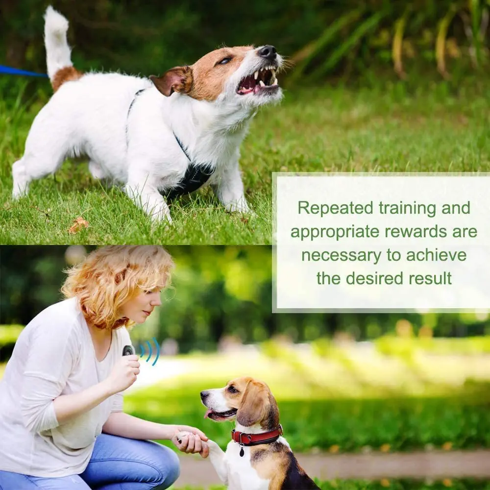 2 in 1 Pet Dog Clicker Dog Training Whistle Clicker Dog Trainer Puppy Stop Barking Training Aid Tool with With Rope Pet Supplies