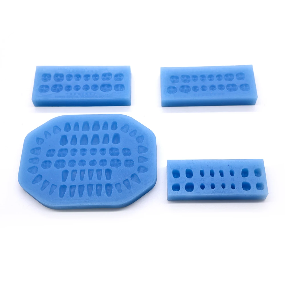 Professional Silicone Lab Maxill of Facial Formwork Teeth Former Mould