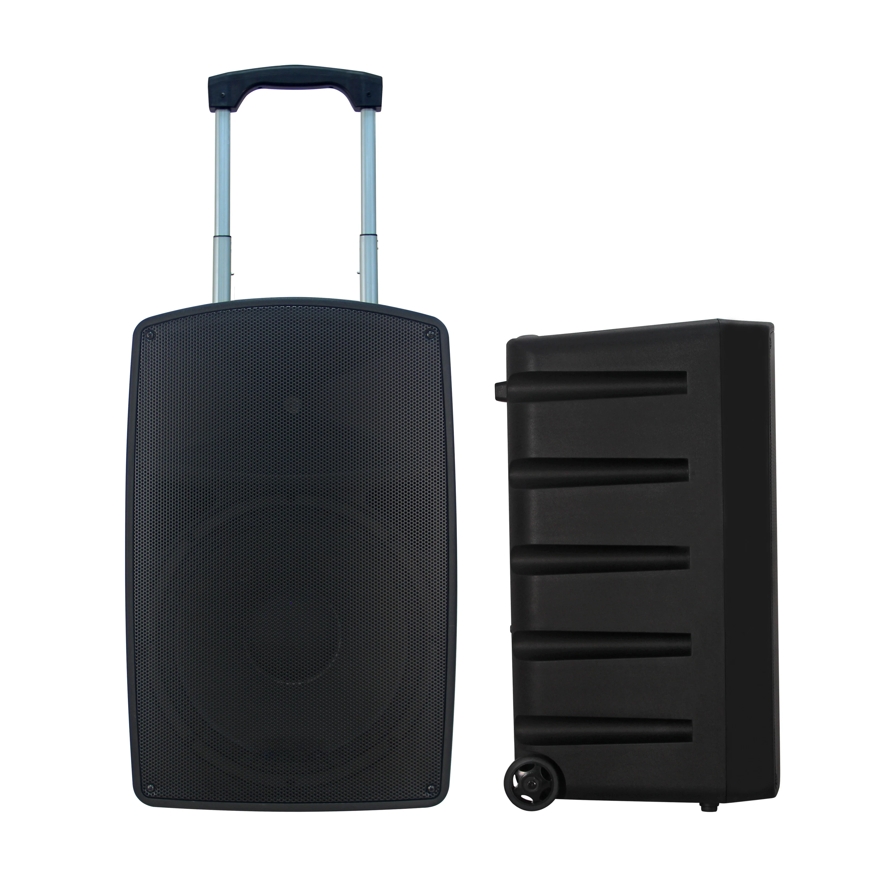 

500W Class D Amplifier 15 Inch 2.0 Channel Portable Wireless Microphone Active PA System Two-way Audio Crossover Karaoke Display