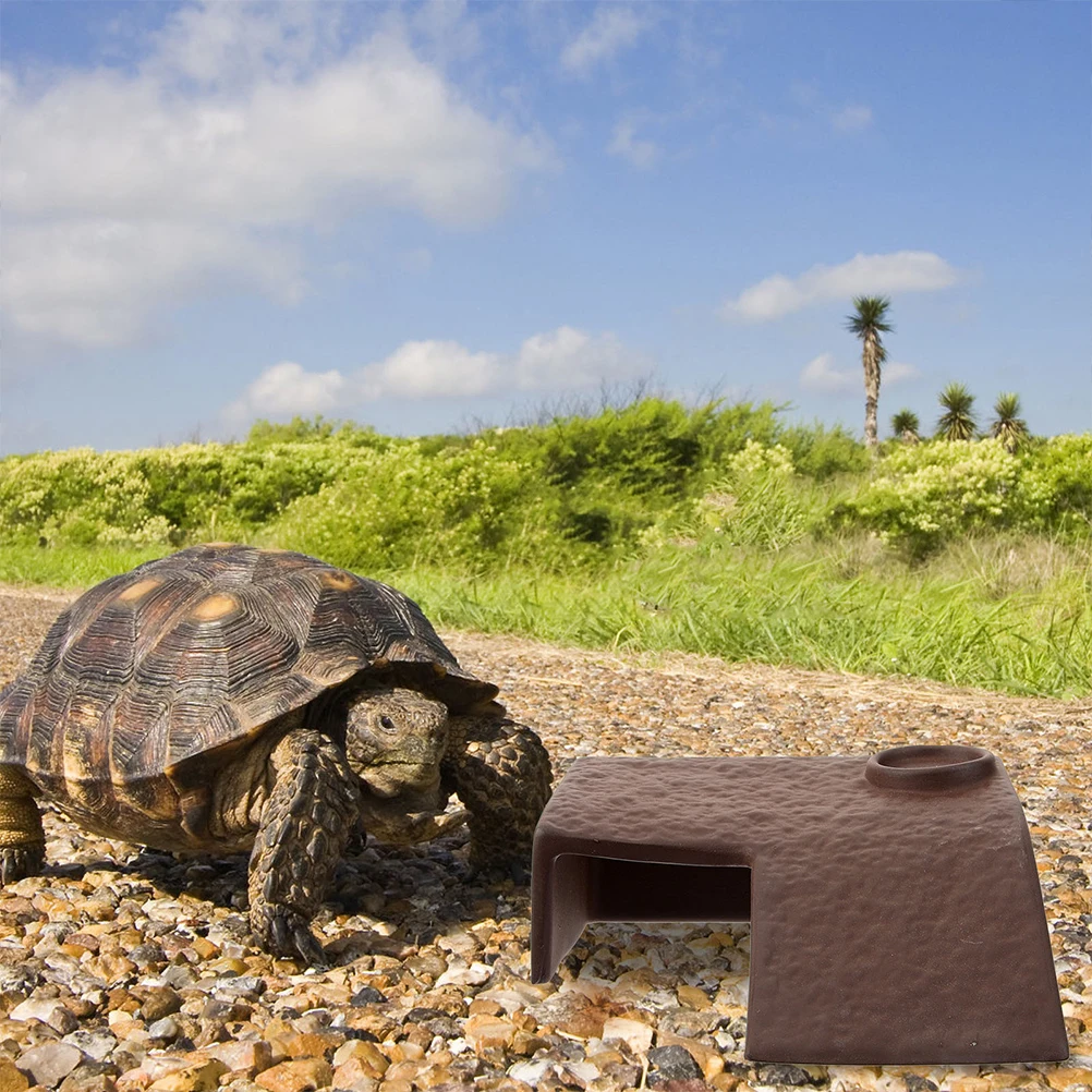 

Turtle Sunbathing Ladder Basking Platform Aquarium Decorations Creatures Accessories Reptile Habitat Turtle Tank