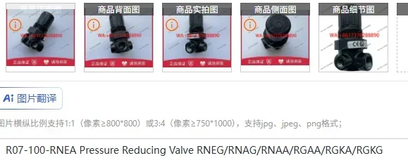 

R07-100-RNEA Pressure Reducing Valve RNEG/RNAG/RNAA/RGAA/RGKA/RGKG