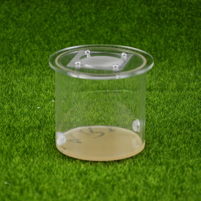 Round Ant Farm Food…