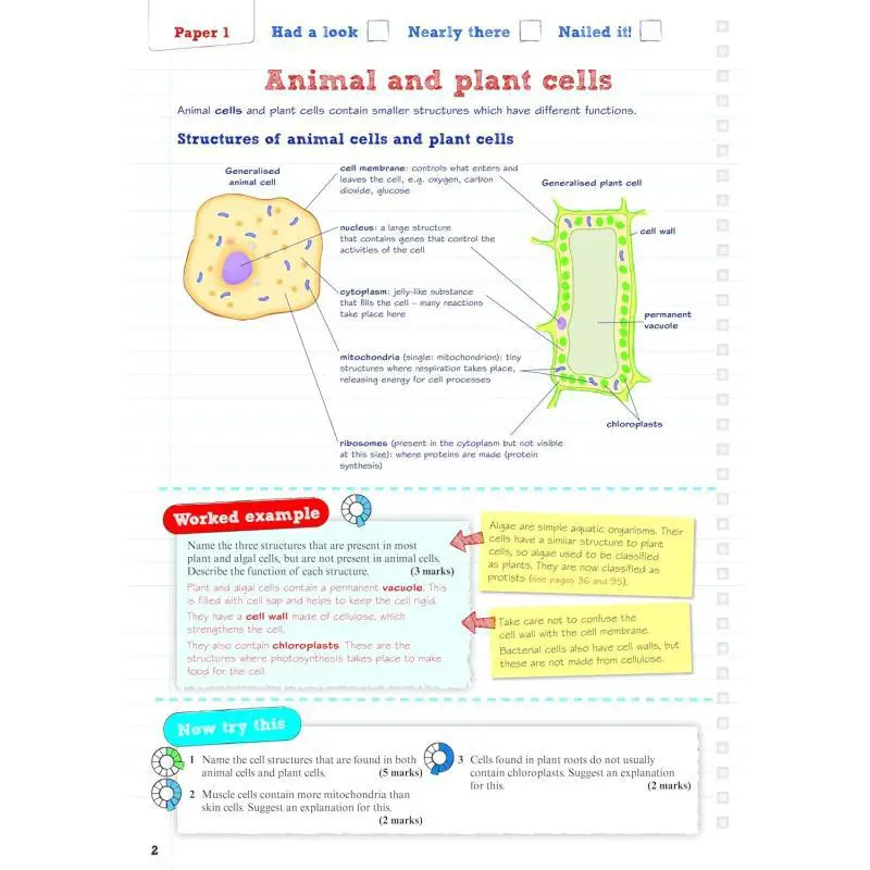 بيرسون مراجعة Edexcel GCSE أوراق ممارسة مؤسسة الرياضيات بالإضافة إلى امتحانات 2025 و2026 جان لينكسي 9781292096308
