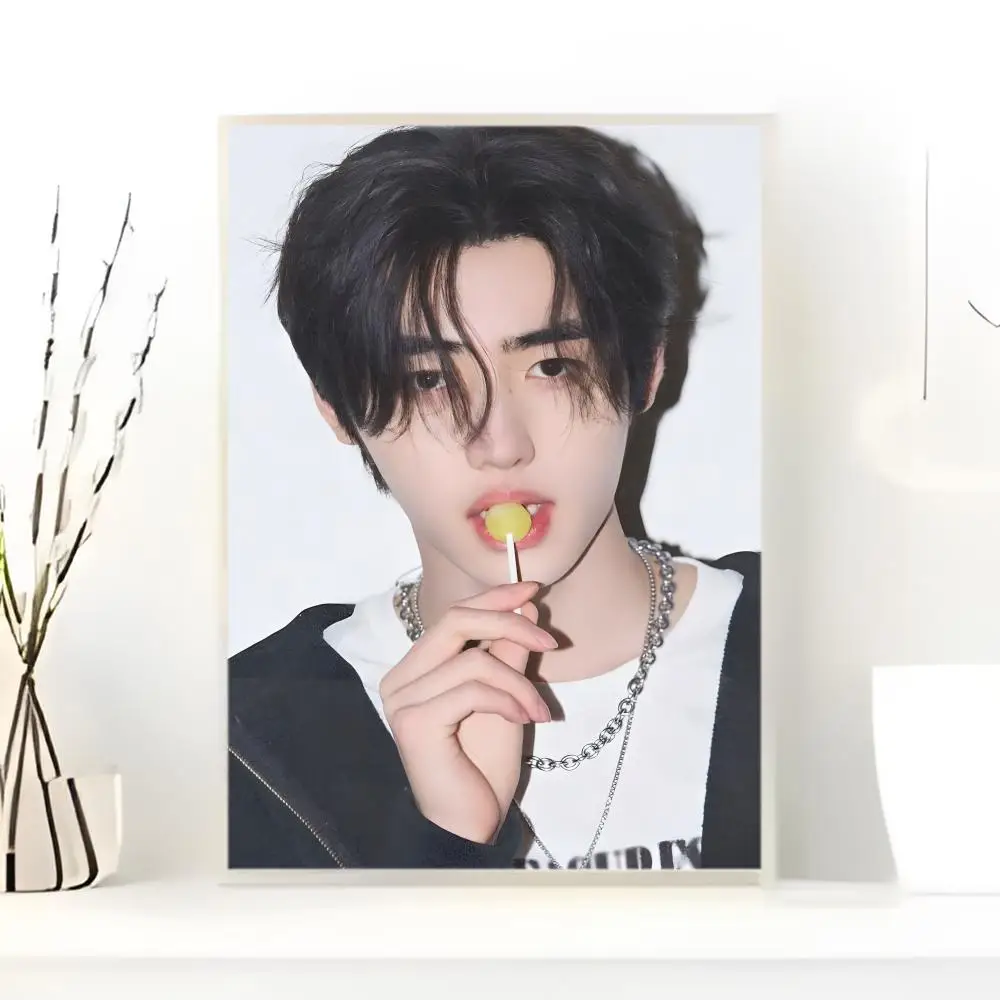 Kpop Idol P-Park S-Sunghoon Poster  Self-adhesive Art Waterproof Paper Sticker Coffee House Bar Room Wall Decor - view 6