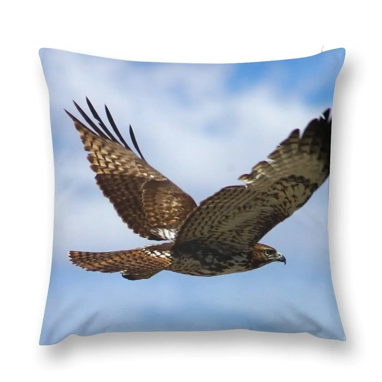 

Redtail Hawk Flight Throw Pillow Pillowcases Sofas Covers pillow