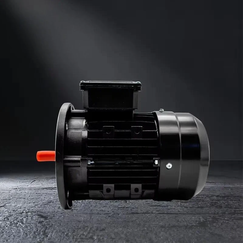 2026100% New and Riello RS70 Motor 3003966 Boiler Parts Industrial Burners Accessories