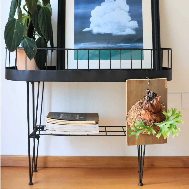 Black Indoor Plant Stand Metal Minimalist Flower Shelf Double Tier Living Room Decor Rack Multi-layer Display Holder for Plant
