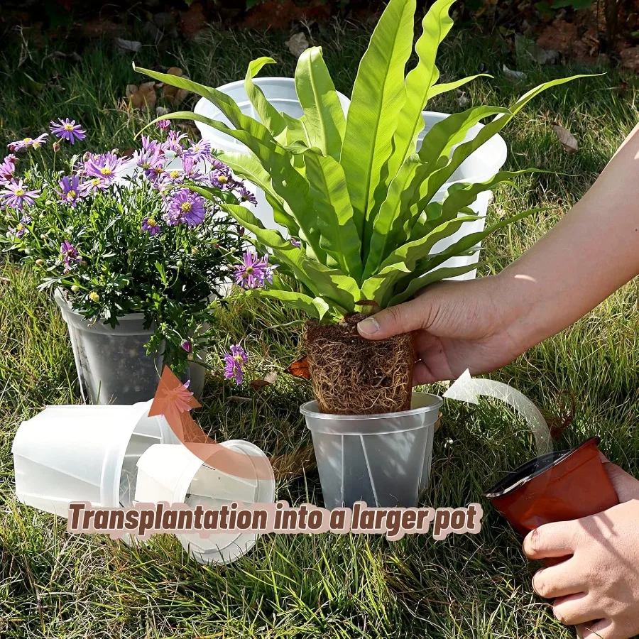 أوعية حضانة شفافة مع تصريف 30 عبوة 10 8.5 7 6 5 4 أوعية حضانة أوركيد بلاستيكية للنباتات مع 30 ملصق نباتي للشتلات