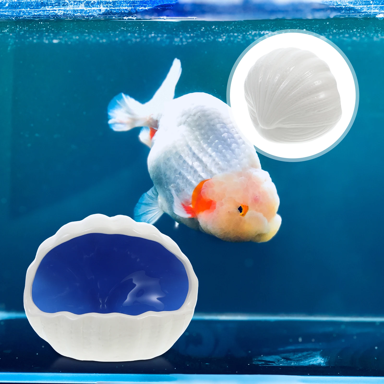 

Ceramic Shell Shape Fish Hideout Hamster Nest Small Animal Nest Aquarium Shell Decoration Cozy Fish Playing Hiding Spots