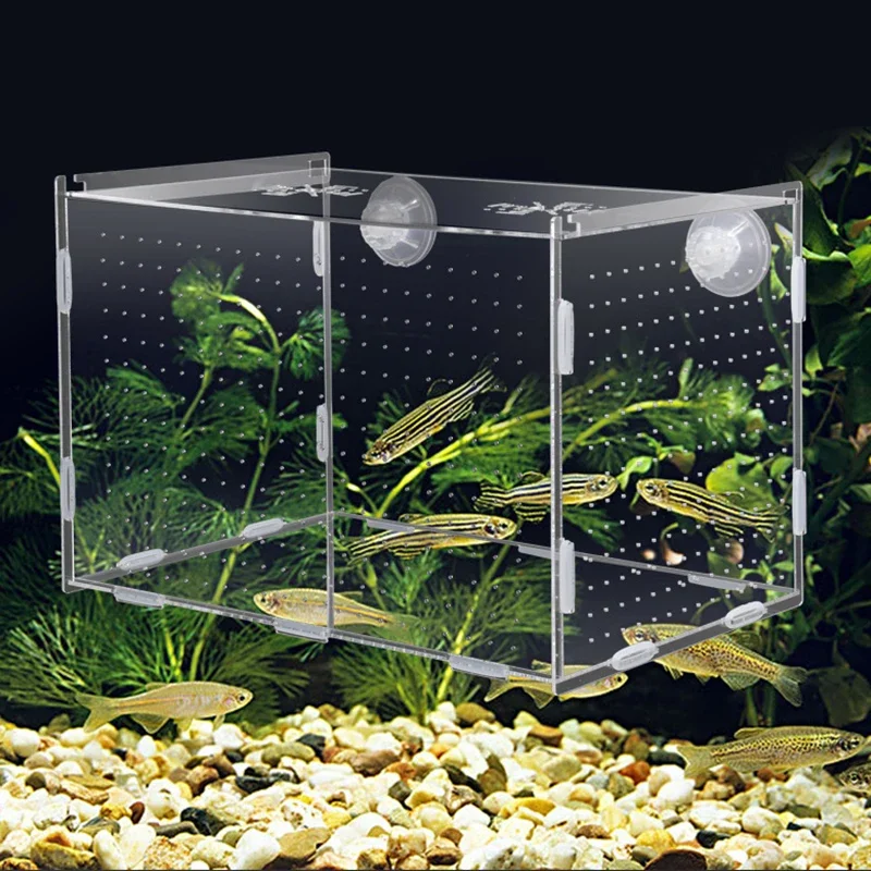 caixa-de-isolamento-para-aquario-tanque-de-peixes-pequena-caixa-de-reproducao-de-fritar-multifuncional-sala-de-incubacao-acessorios-para-aquario-fornecimento-de-peixes