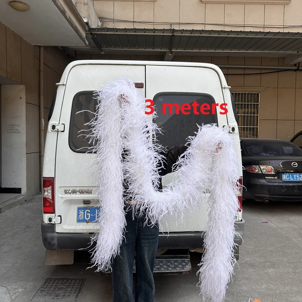 

1 6 10 Ply Natural Ostrich Feathers Boa ribbon Scarf 2M 3M Long for Costume Dress Sewing Decoration plumas Shawl Diy
