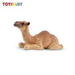 Toymany Simulation Camel Calf Wildlife  Animal Model Toy Mini Figures Dolls Action Figurines Toys Children Gift  Cake Decoration