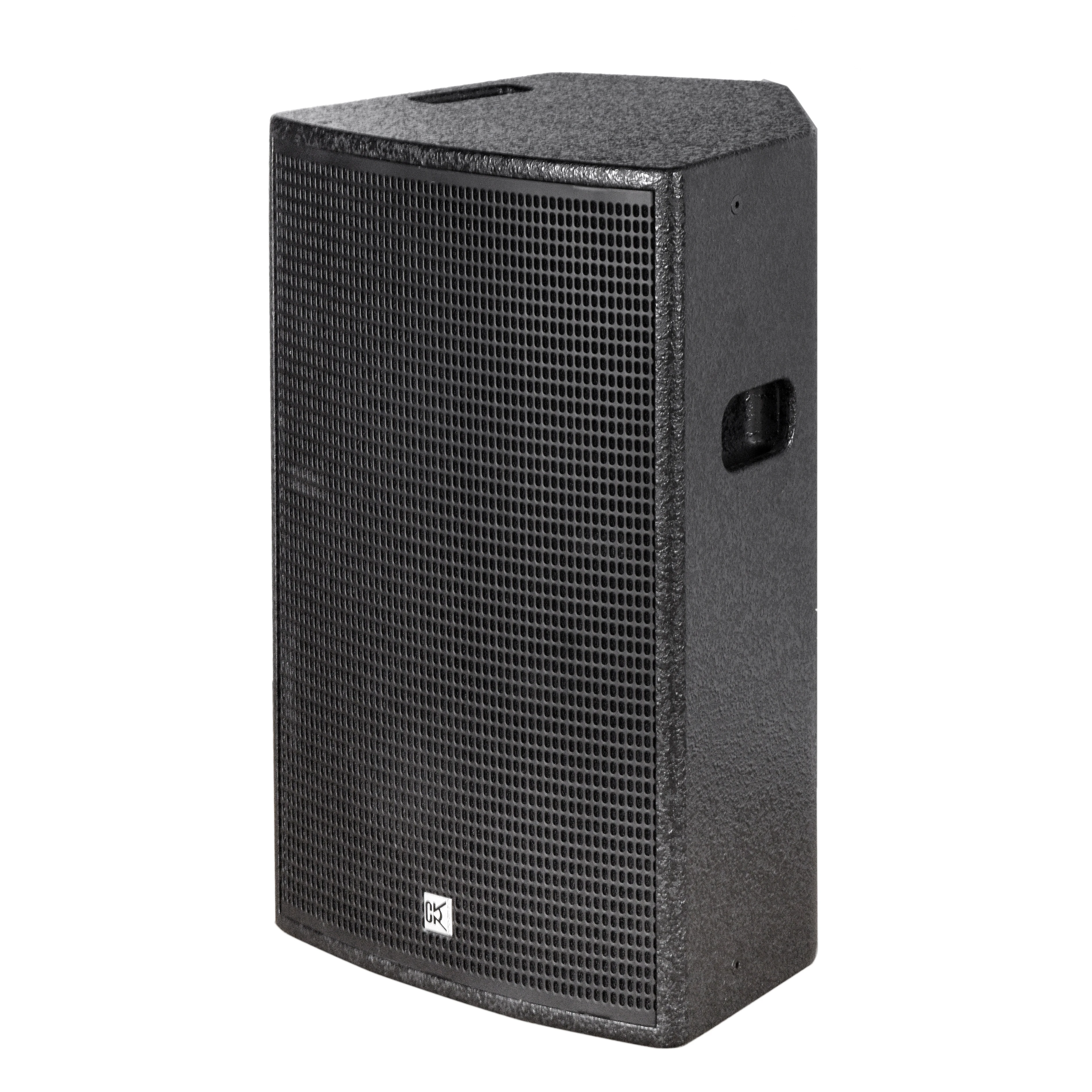 CV-102D 10 Inch 300W RMS 2-Way Passive Speaker High Power Full Range Stage Audio Equipment