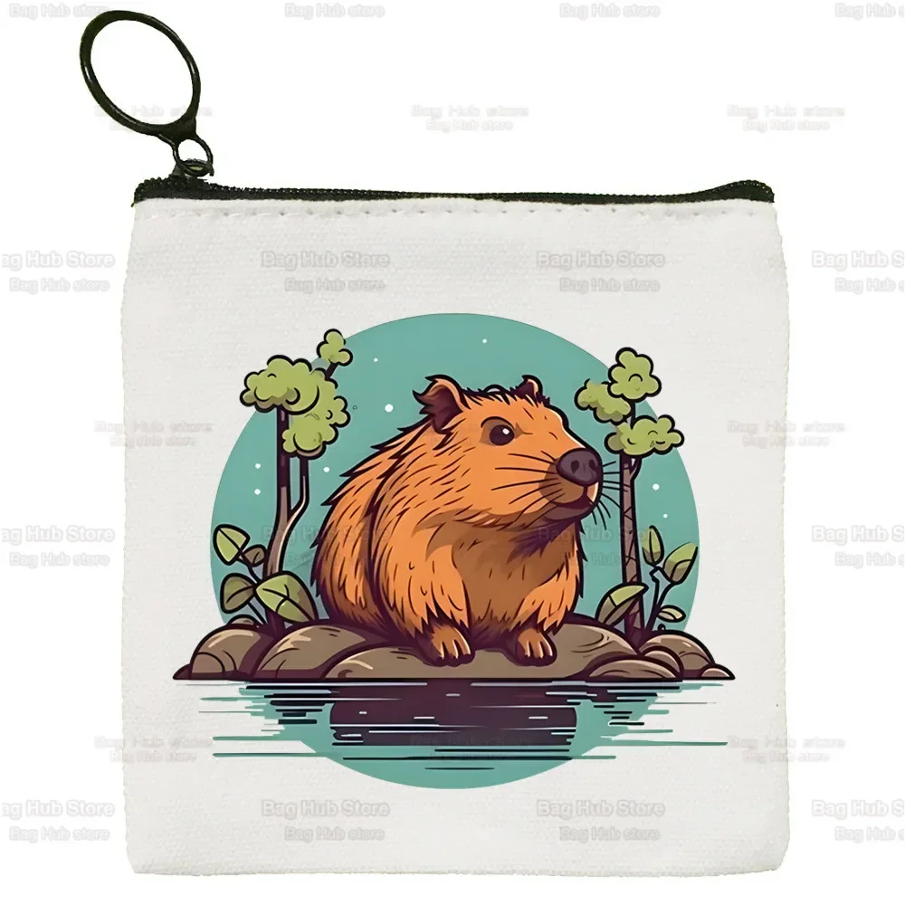 กระเป๋าใส่เหรียญผ้าลายสัตว์ตลกๆ คาปิบารา กระเป๋าใส่เหรียญแบบกำหนดเอง ลายภาพประกอบ ซองใส่กุญแจ กระเป๋าผ้าใบเล็กเรียบง่าย กระเป๋าใส่เหรียญแบบใหม่สุดสร้างสรรค์