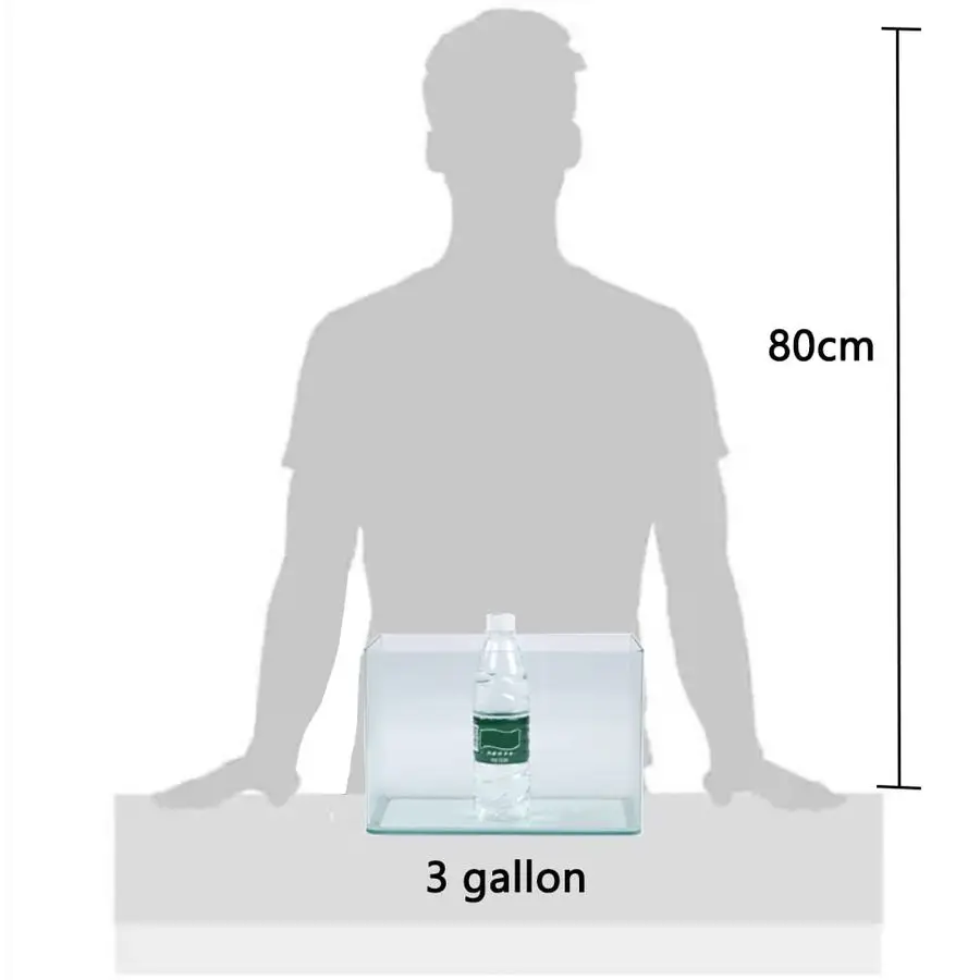 Rimless Glass Aquarium Tank 6
