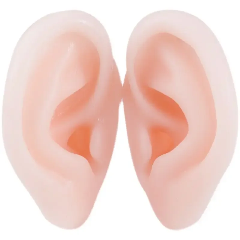 

Ear Model Simulation, Fake Ear Coaxing Artifact Display, Earrings, Earrings, Food Grade Simulation, Silicone Without Ear Canal