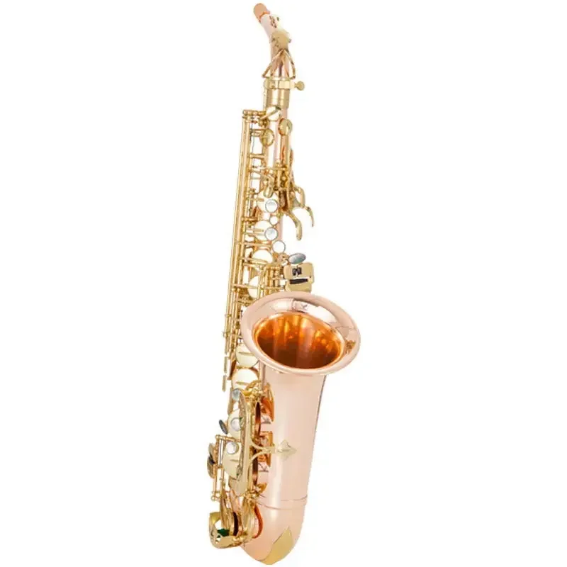 Phosphor Bronze Saxophone E-flat Alto Wind Instrument Adult Beginner Entry Exam Playing Instrument