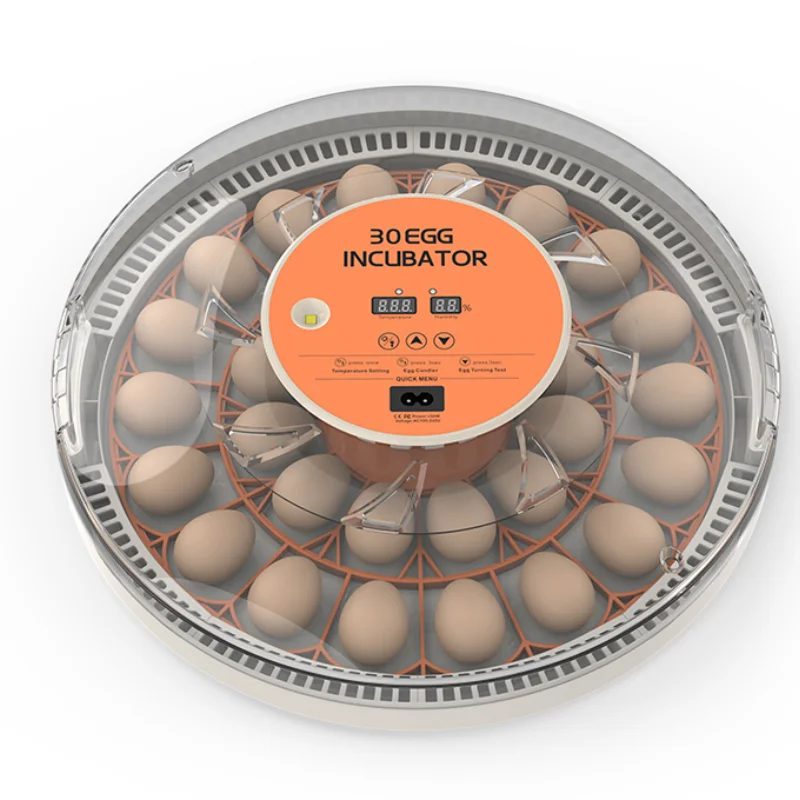STLF30 Eggs Home Use Incubator Fully Automatic Chicken Duck Quail Incubators EggsHatching Machine