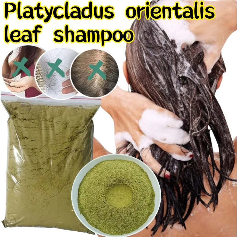 Platycladus Arborvitae Leaf Shampoo 500g Freshly Ground Natural Arborvitae Leaf Shampoo Cleans The Scalp and Prevents Hair Loss