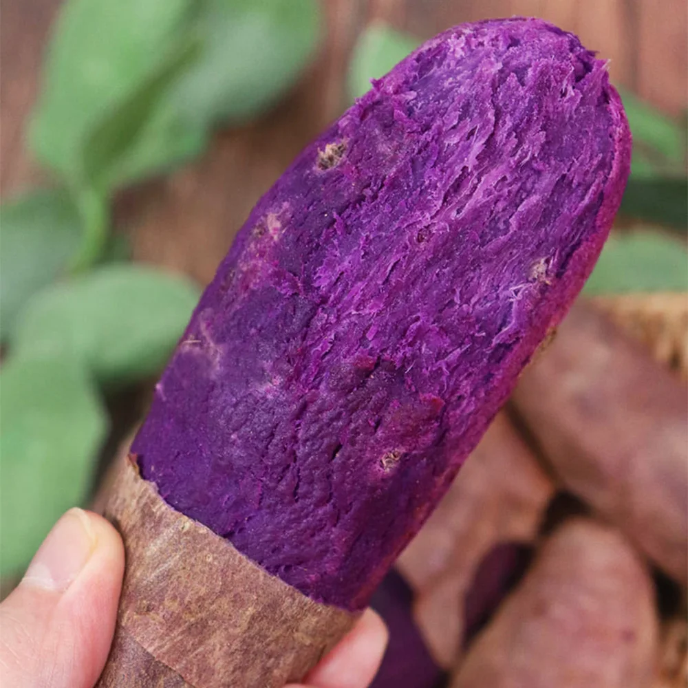 2025 مزيج بطاطس حلوة من Haenam، مزيج بطاطس حلوة أرجواني فاتح