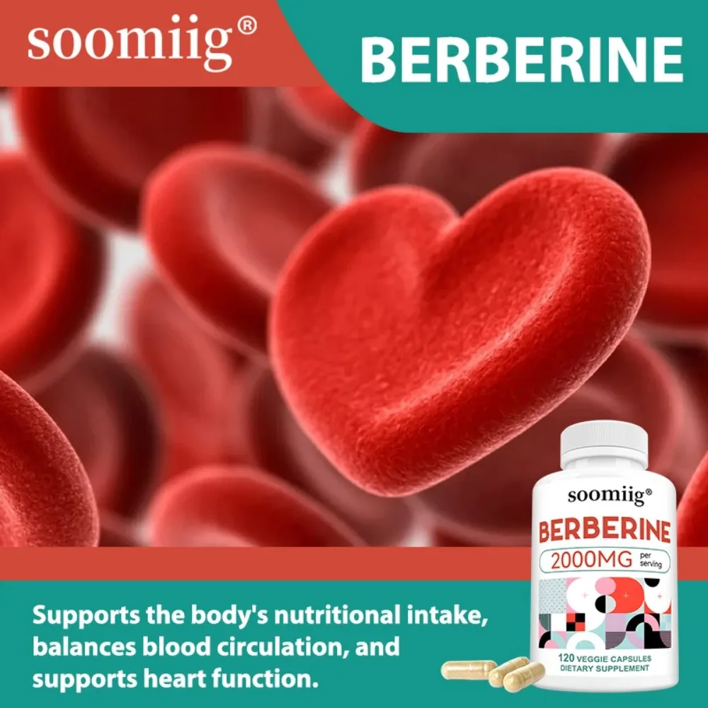 Berberine Capsules for Regulate Blood Sugar Improve Blood Lipid Metabolism Support Intestinal Health Promotes Digestive Health