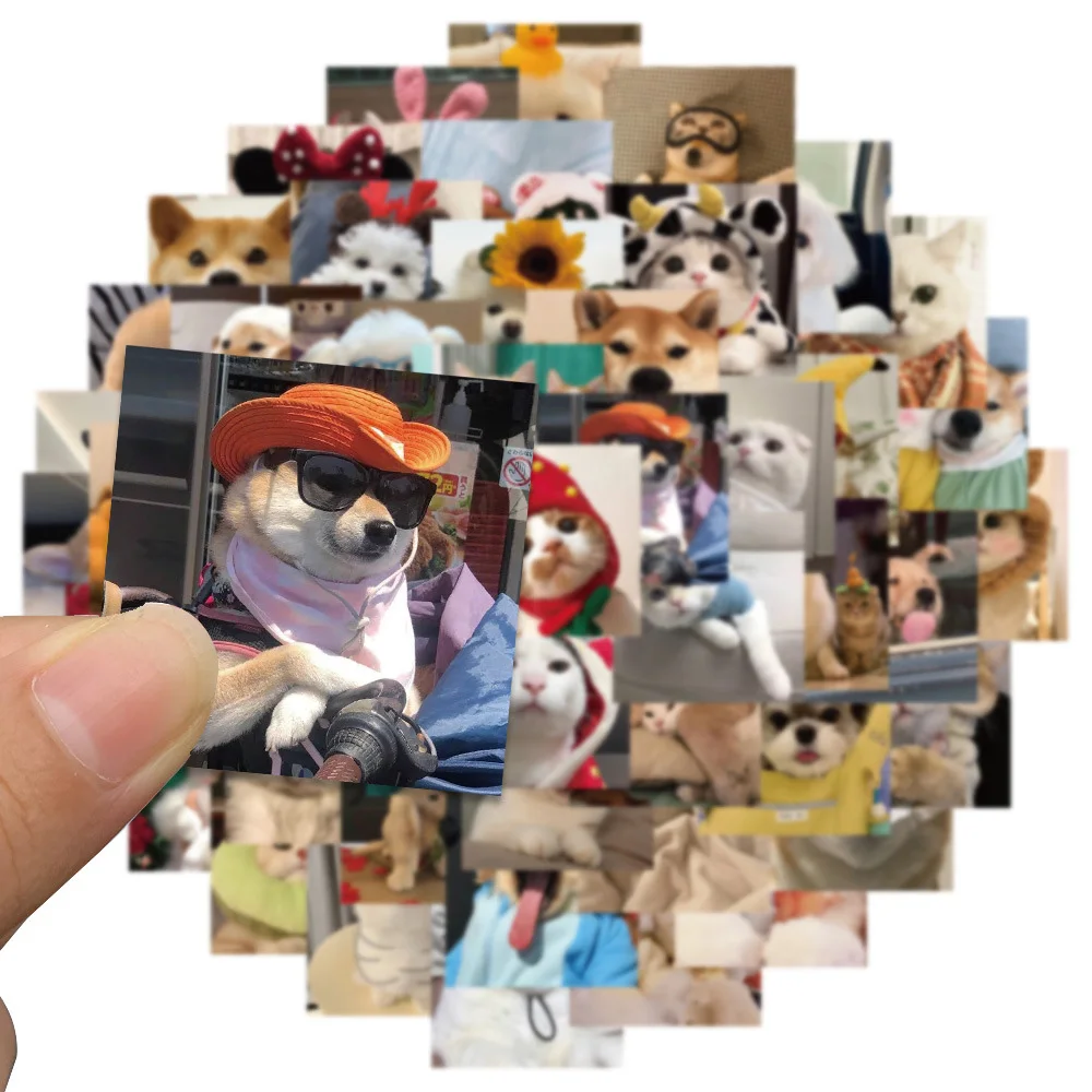 10/30/50/100pcs Kawaii Animale Gatto Cane Meme Adesivi Cute Pet Gattino Cucciolo Adesivo Del Fumetto di Skateboard Diario Del Telefono Graffiti Decalcomanie