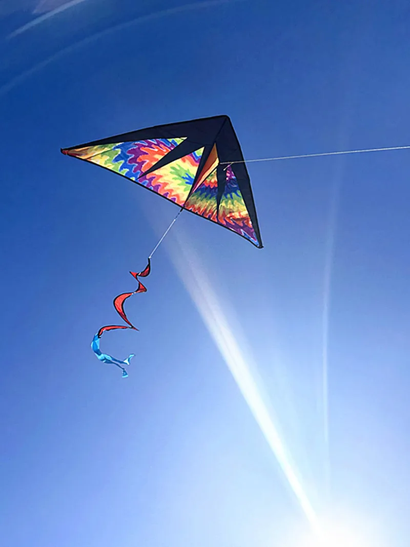 Cometa triangular de llama con cola en espiral, equipo de parapente, carretel de pipa, dragón, envío gratis