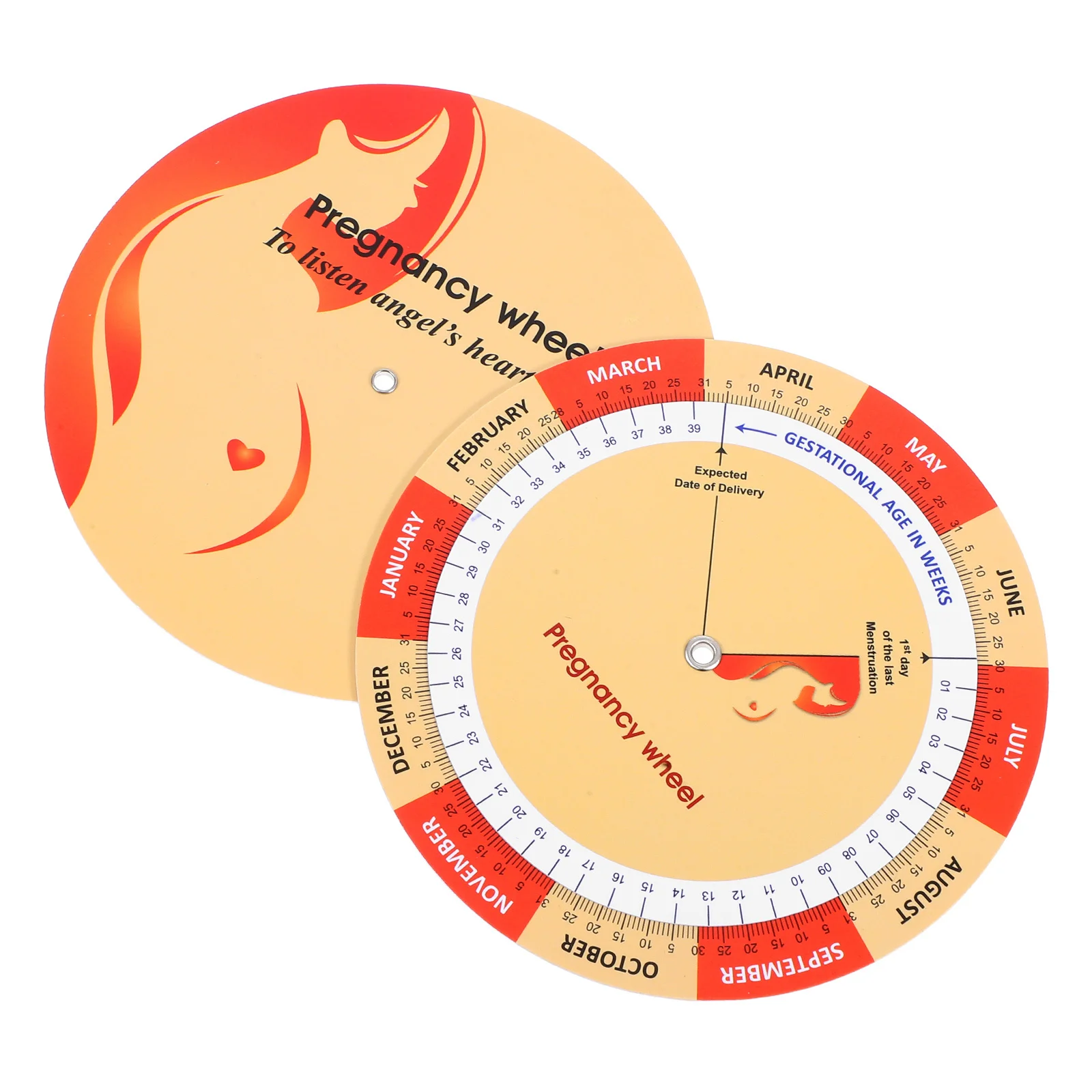 2Pcs Pregnancy Wheel Fetal Development Chart Color Printed Paper Tracker for Expecting Moms Pregnancy Guide Pregnant Women