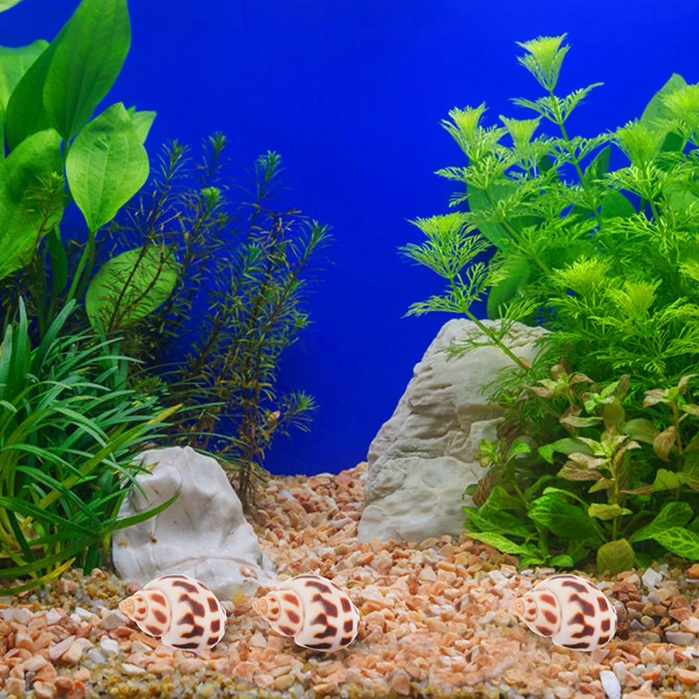 

160 Pcs Seashells Decorations Aquarium Fish Tank Natural Accessories for Crafts Decorative