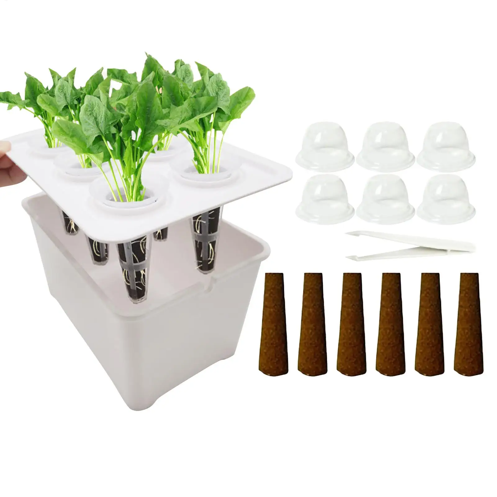 Seeding Starting Tray 6-Cell Cover Greenhouse Propagator Germination Trays Seedling Pot For Flowers Vegetables Indoor Dorm