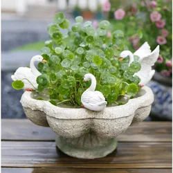 Creative Hydroponics Pots For Plants Balcony Decor Flower Pot Non-porous Copper Grass Plant Stand Garden Decoration Bonsai Pot