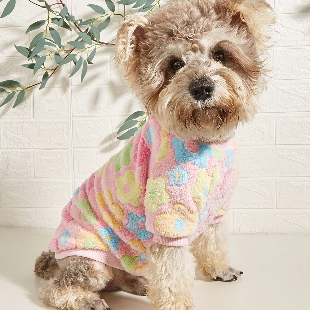 Cute Fashion Pet Clothes, Colorful Floral Print Small Dog Two-Legged Shirt, Adorable Plush Dog Hoodie, Autumn Winter
