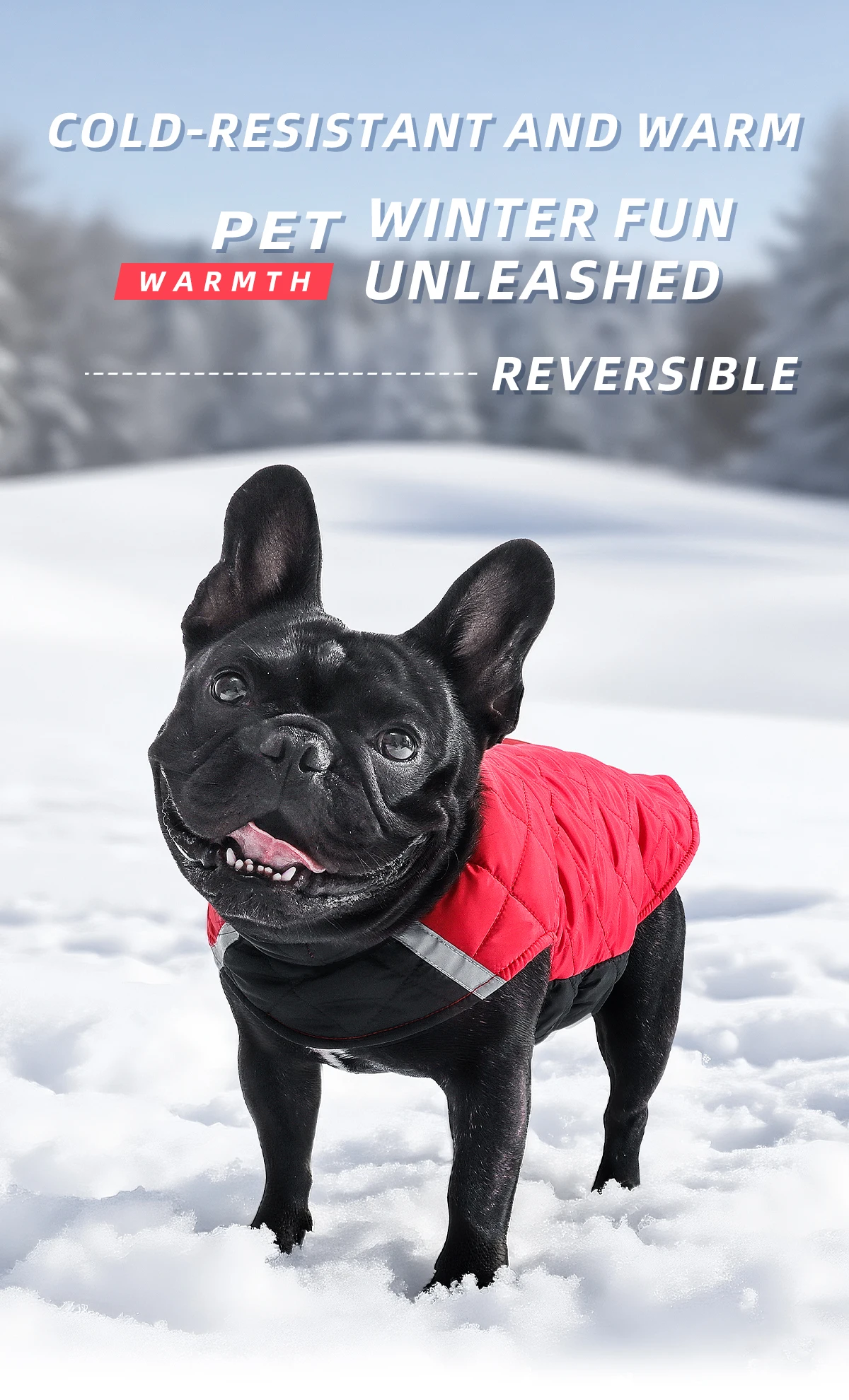 Winterhundekleidung, warmer Hundemantel, beidseitig tragbar, PP-Baumwolle, Outdoor-Welpenkleidung, Jacke, Chihuahua, French Bulldog Kleidung – Detail 1