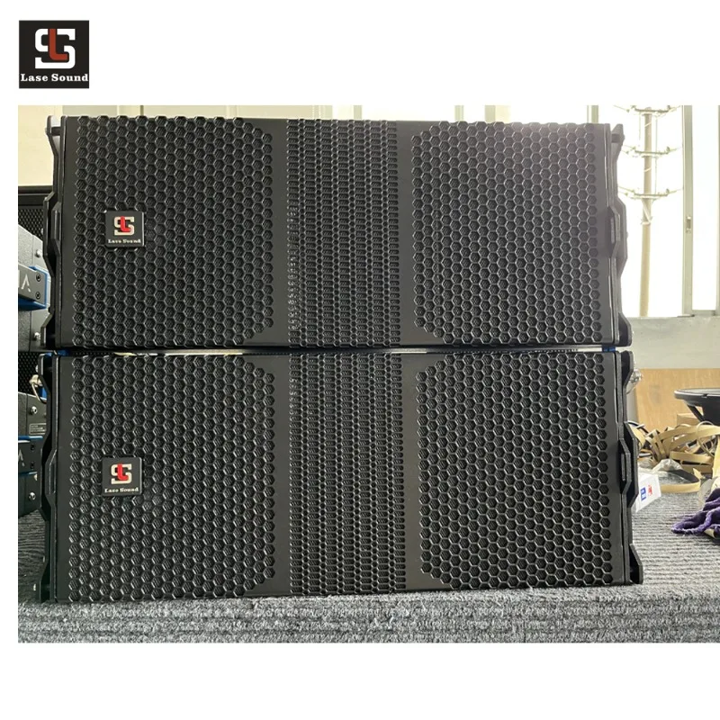 Dual 10 Inch Powerful Clear Tone For Outdoor Concert Deep Punchy Sound With Warm Full Tone