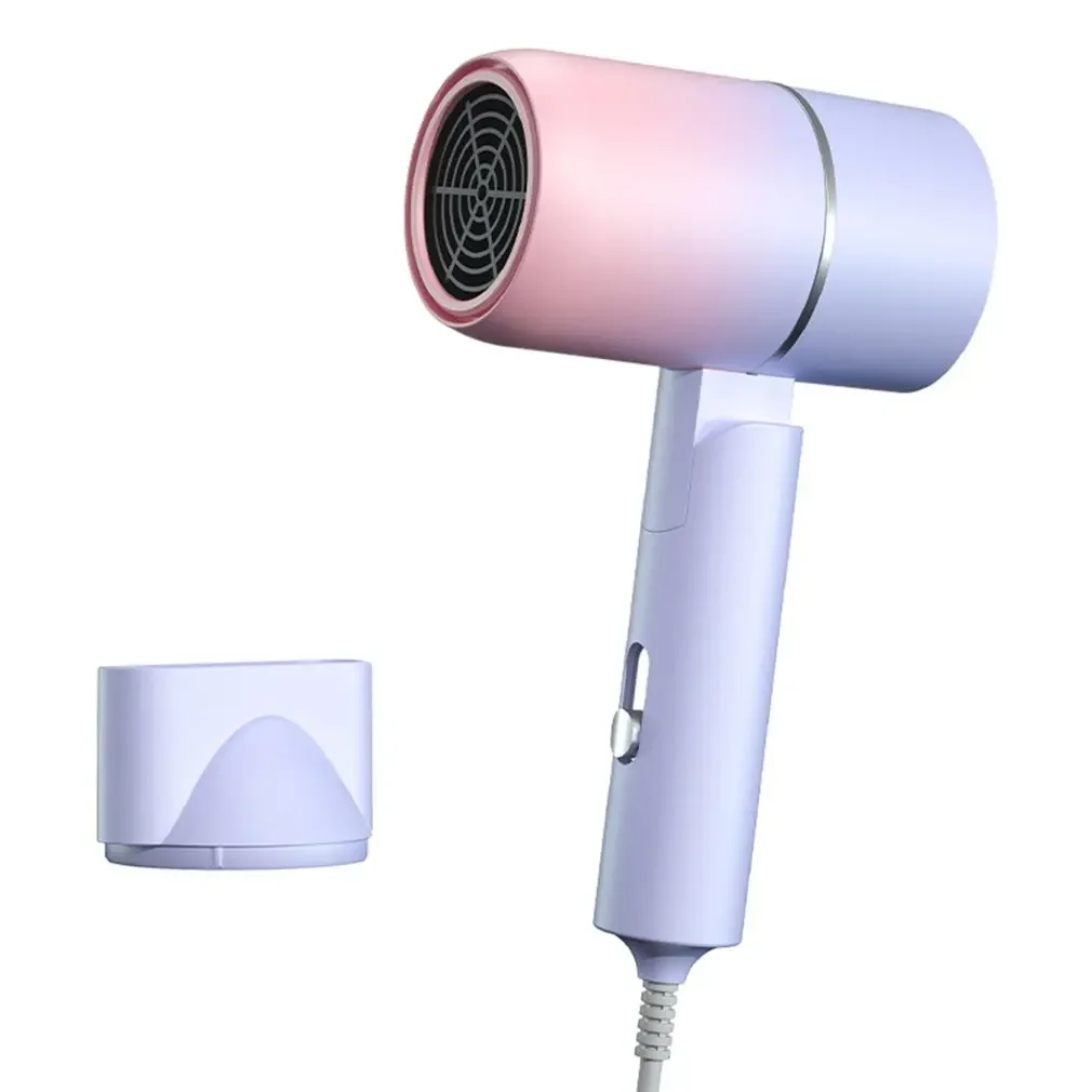 Professional Salon Folding Ionic Hair Dryer with Diffuser & Concentrator