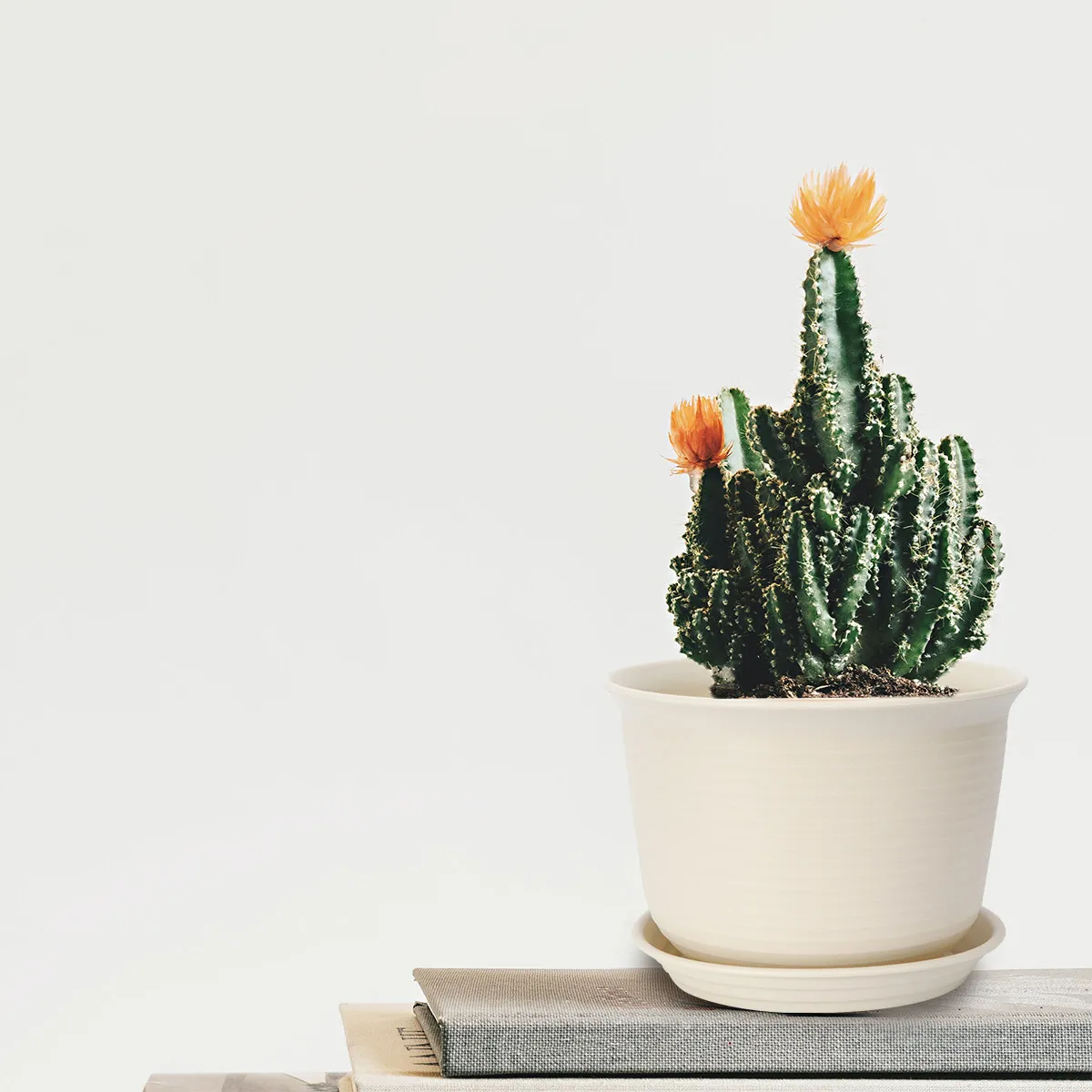 Apricot Resin Plant Pots Smooth Texture Small Flower Pots with Drainage Holes for Succulent Plants Herb Gardening School