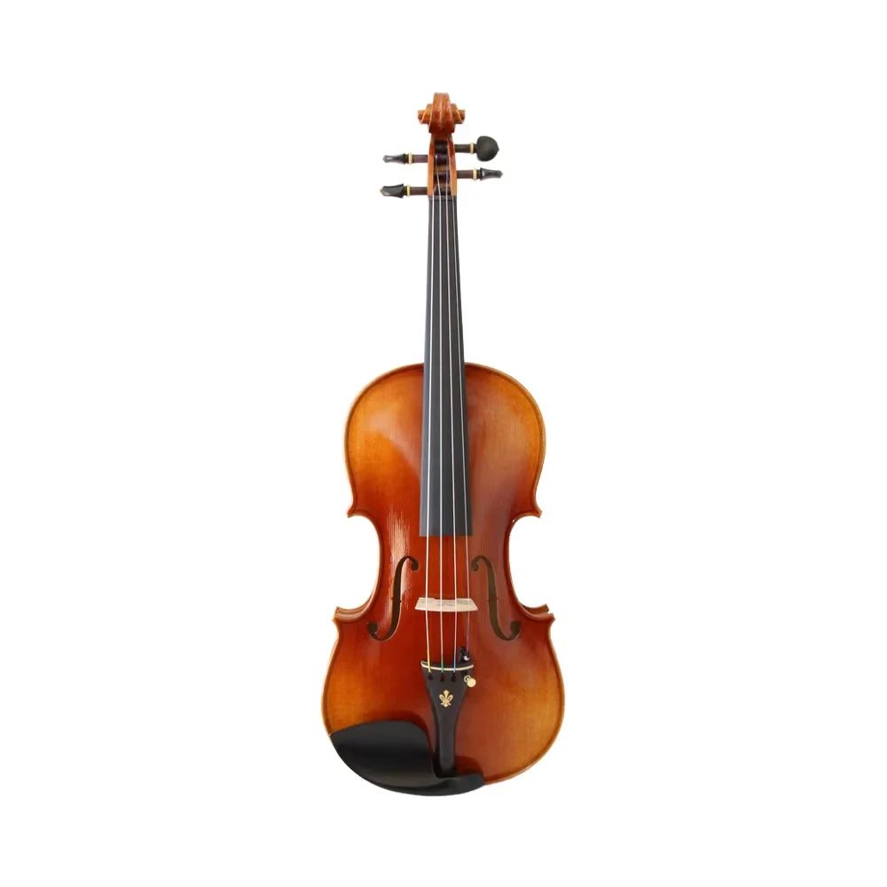 Professional Violin Beautiful High End All Solid Wood Violin Professional Handcrafted Violin