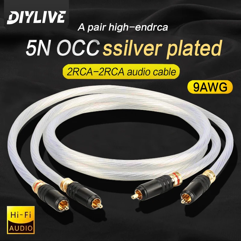 DIYLIVE Hi-End 5N OCC sterling silver line fever audio line double RCA sound signal line HIFI double lotus over line